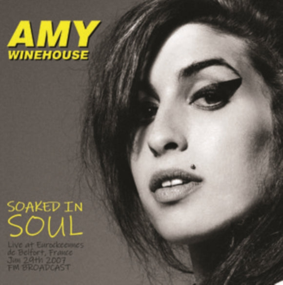 Amy Winehouse - Soaked in soul
