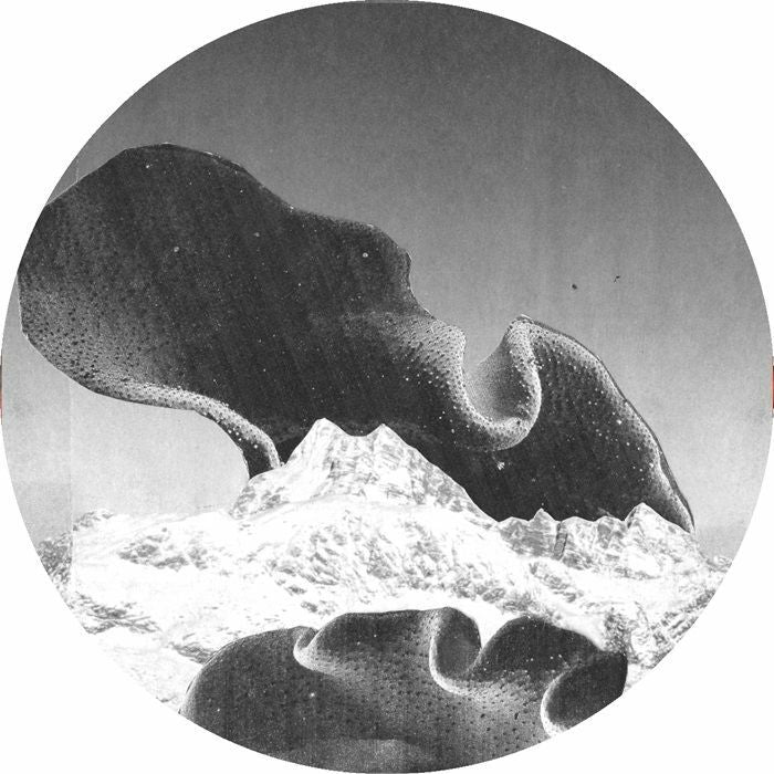 Eva LOVELESS / SLIMY APE / FURTIVE / BUCKLEY - Stepfamily