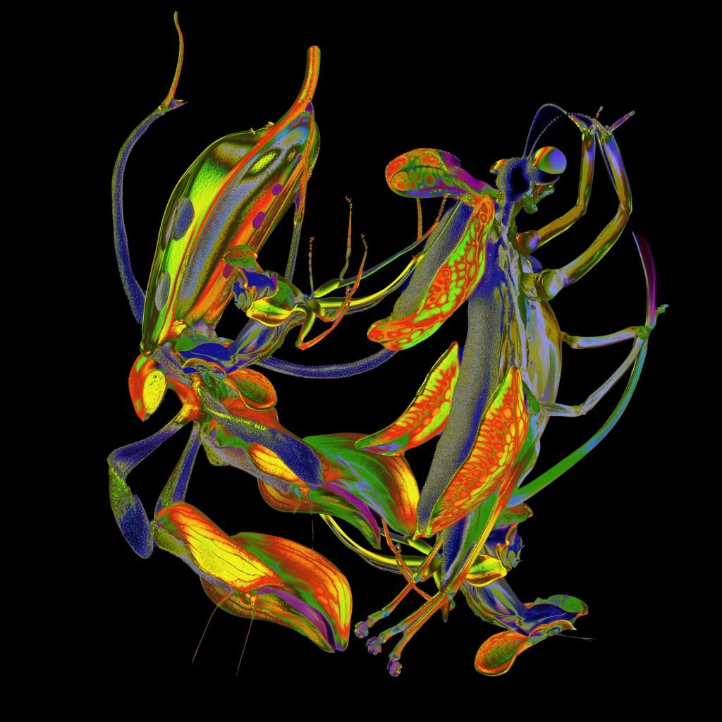 DJ Nobu - Shō