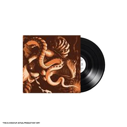 Boris - Amplifier Worship - 25th Anniversary Vinyl