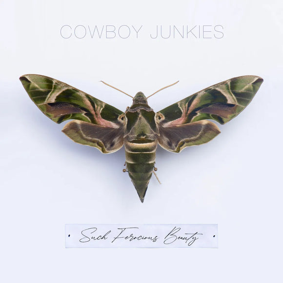 Cowboy Junkies - Such Ferocious Beauty [Translucent Tan Vinyl]