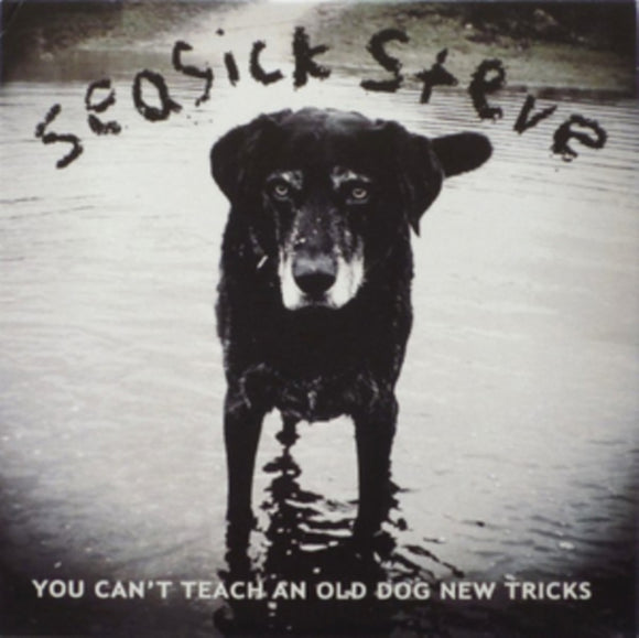 SEASICK STEVE - You Can'T Teach An Old Dog New Tricks