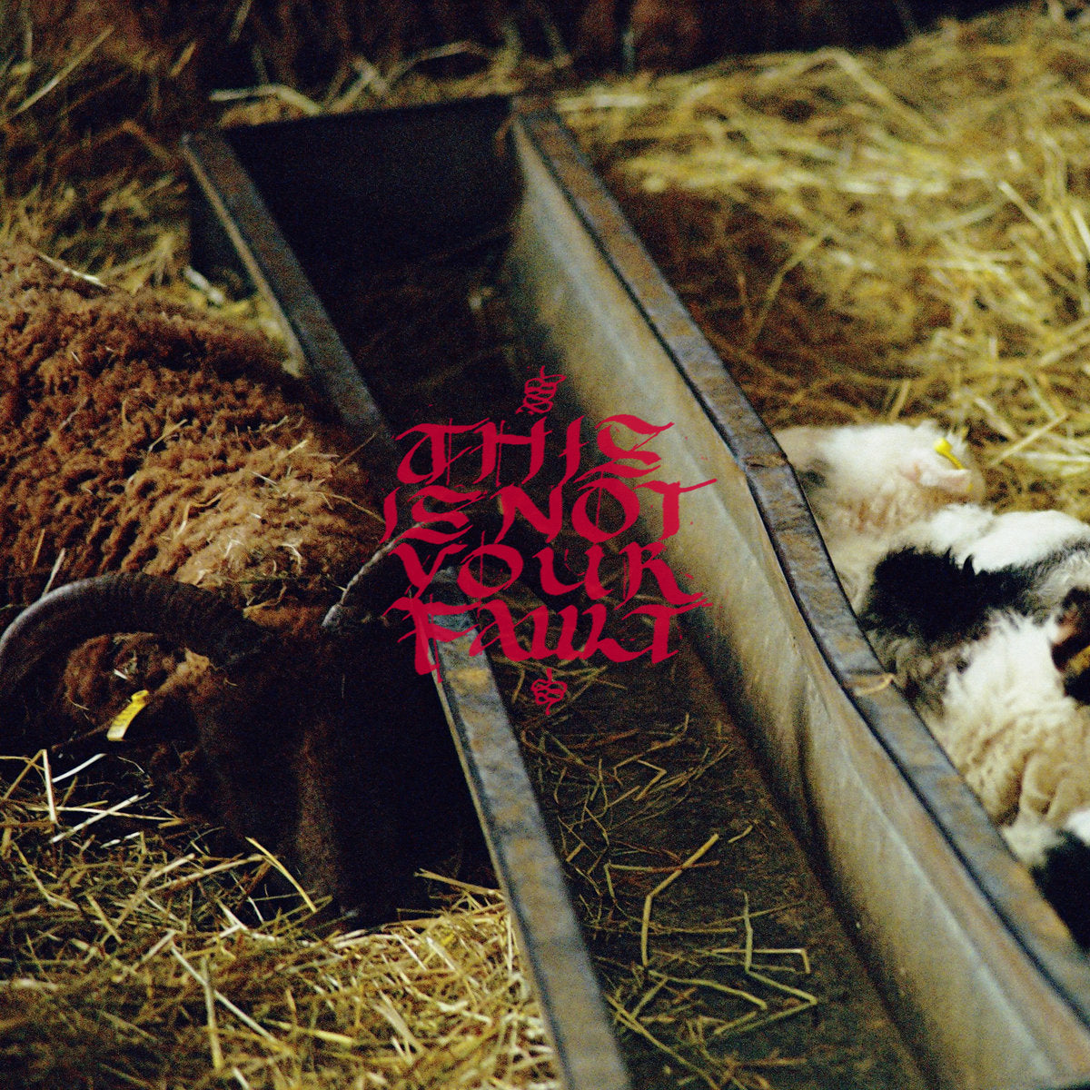 Green Gardens - This Is Not Your Fault