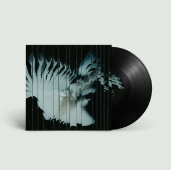 SCALER - ENDLESSLY