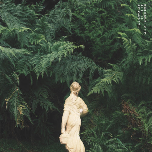 ALEX ALBRECHT - ALLAMBLE