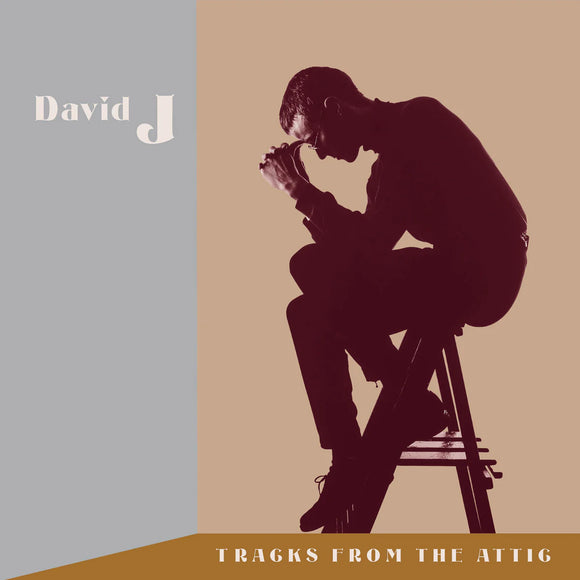 David J - Tracks From The Attic [3 Brown Opaque LP + 3 CD set + DDC]