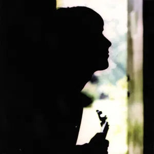 PAUL WELLER - WILD WOOD