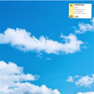 Netsky - Everybody Loves The Sunshine