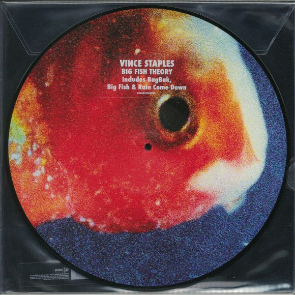 Vince Staples - Big Fish Theory [2LP Picture Disc]