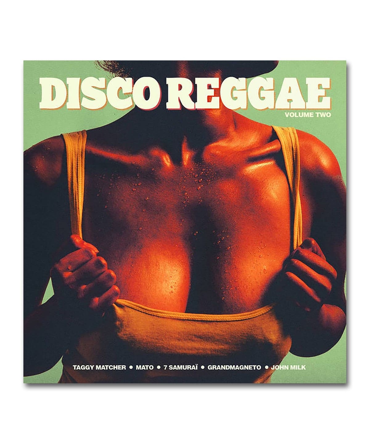 VARIOUS - DISCO REGGAE VOLUME TWO