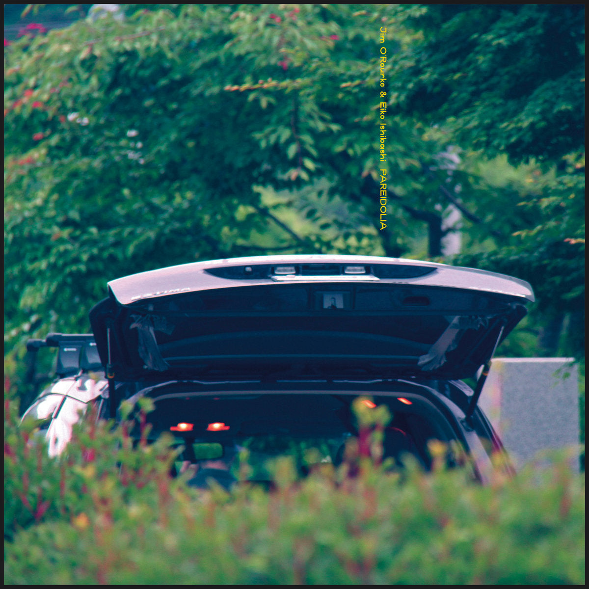 Eiko Ishibashi & Jim O'Rourke - Pareidolia