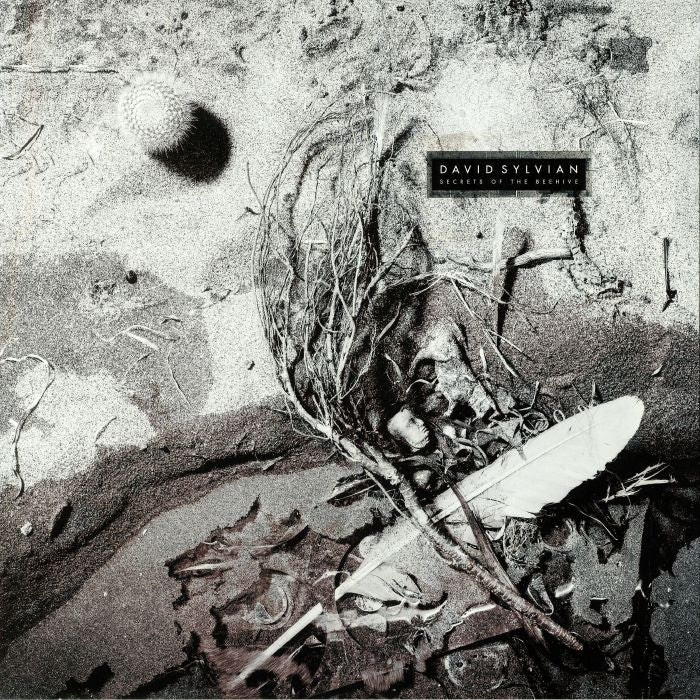 David Sylvian - Secrets Of The Beehive