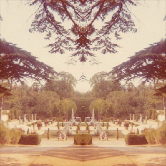 Tom James Scott – Nightshade