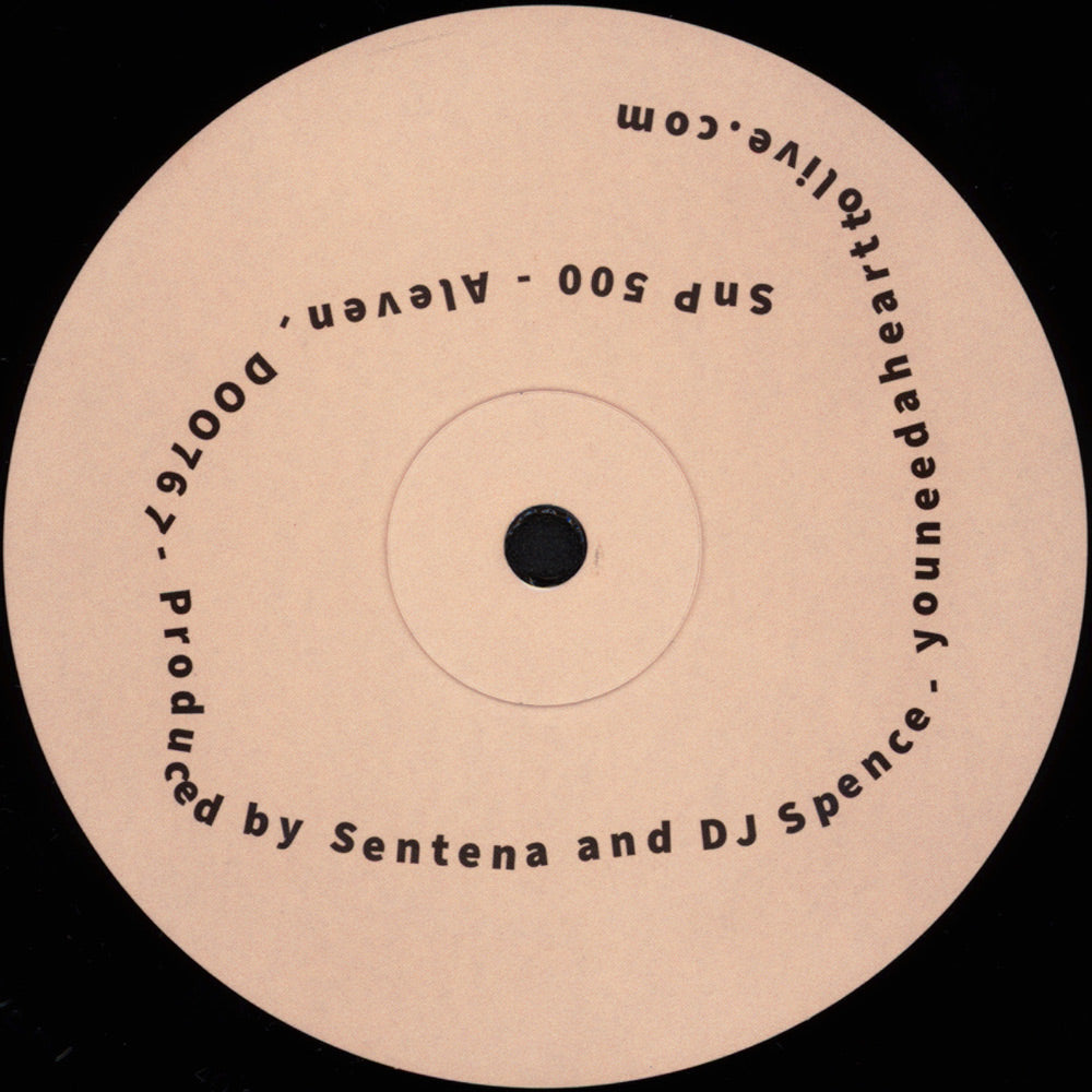 SnP 500 - Aleven