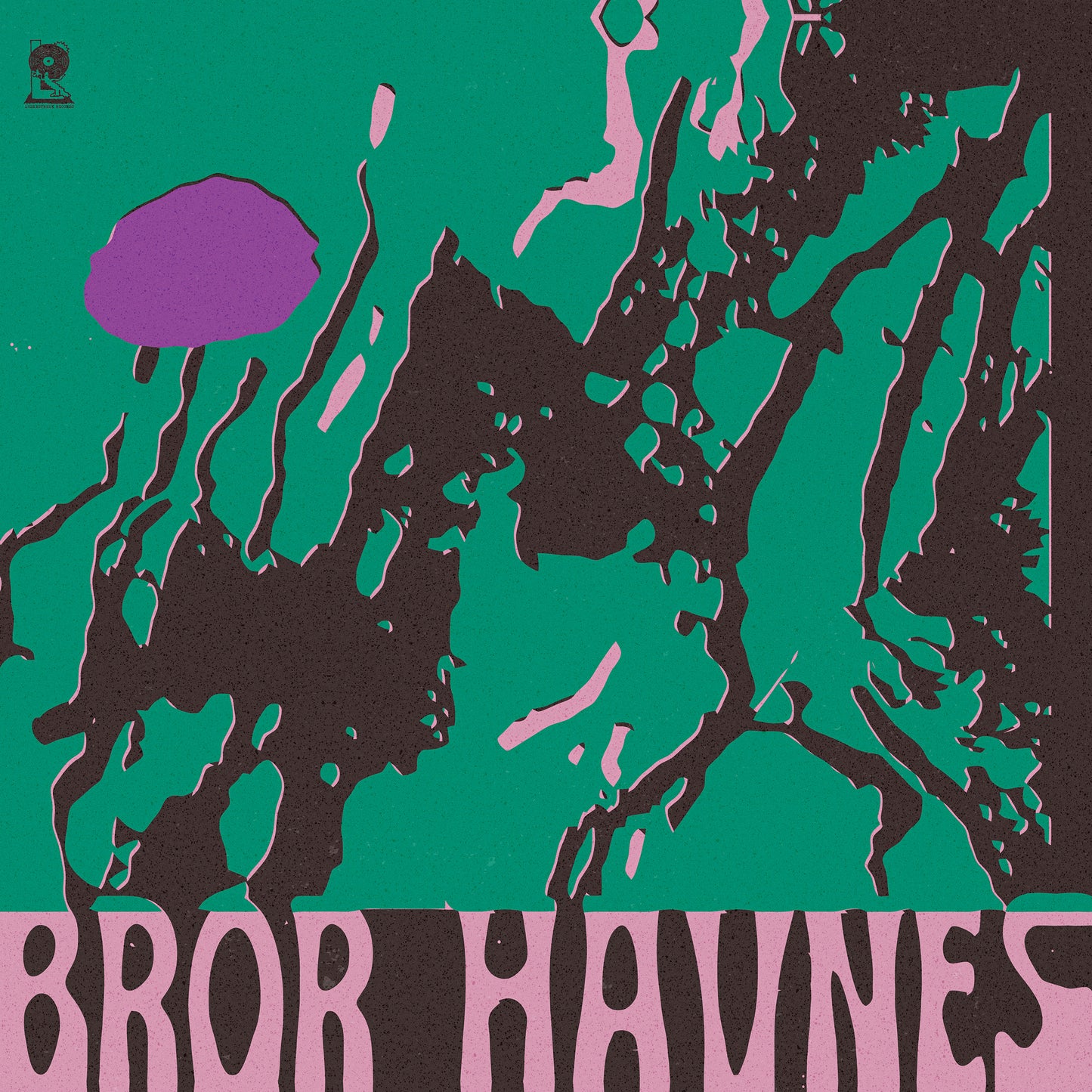 BROR HAVNES - DE SOM VET