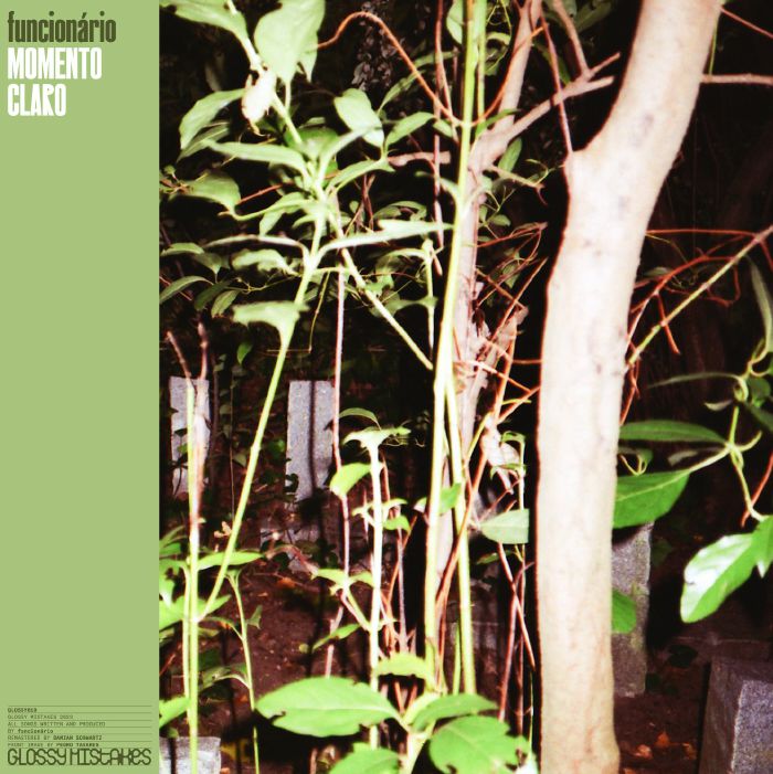 funcionário - Momento Claro