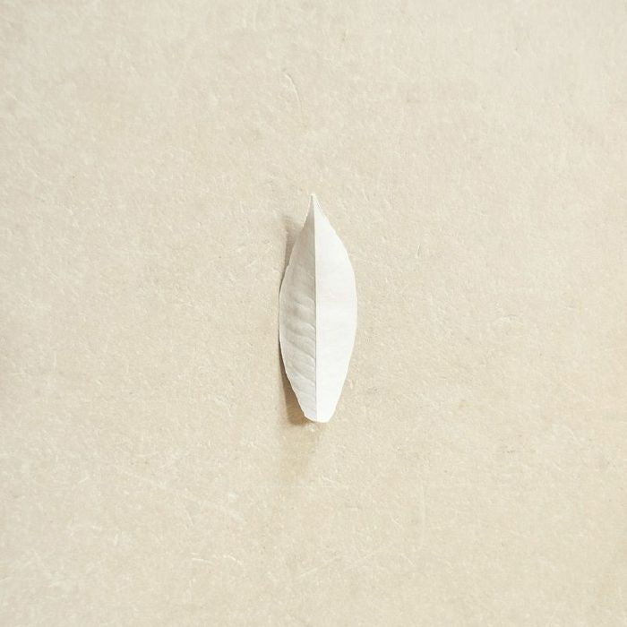 Sylvain Chauveau - The Complexity Of The Simple
