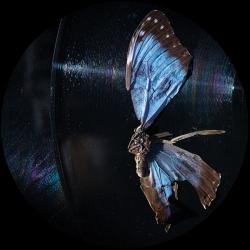 Ben Buitendijk - Past And Present EP