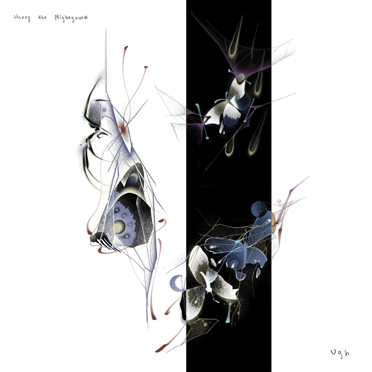 Harry the Nightgown - Ugh