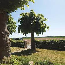 Sigtryggur Berg Sigmarsson - Into The Second Half