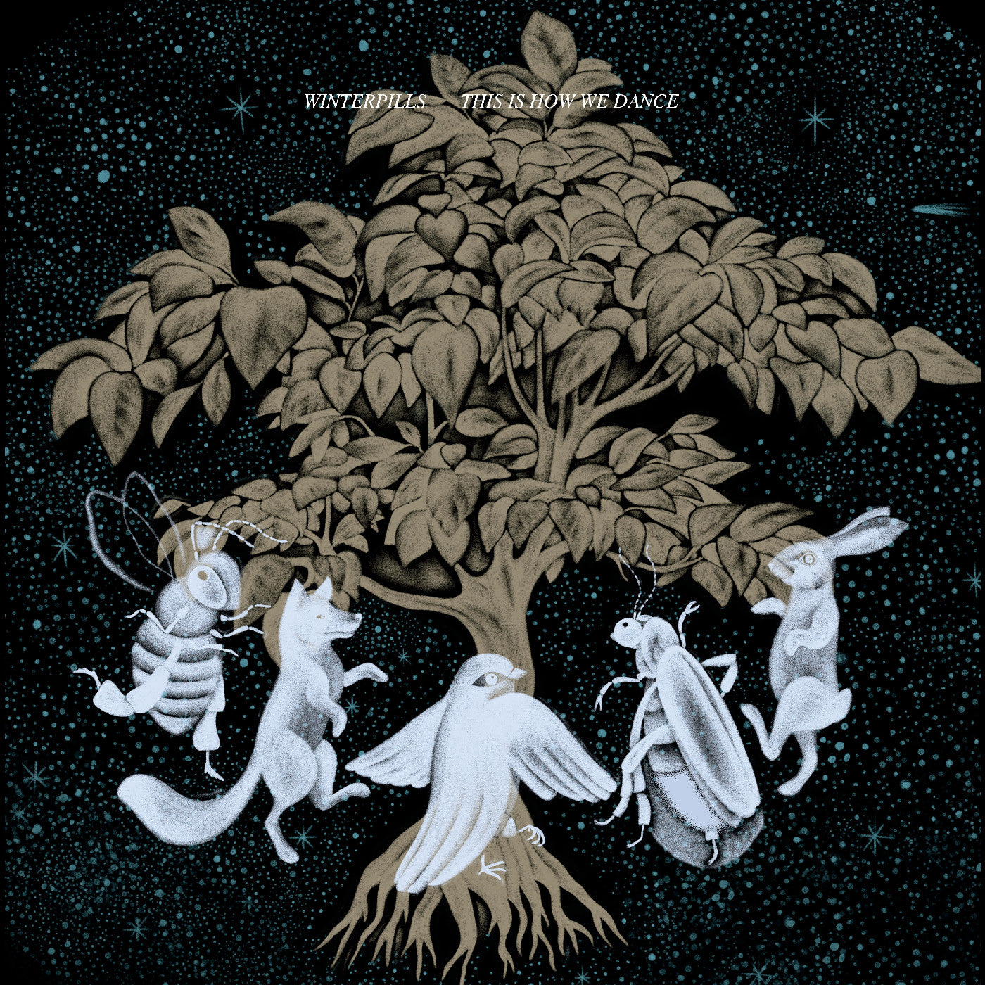 Gareth Quinn Redmond - Múscailte (ULTRA CLEAR TRANSPARENT VINYL)
