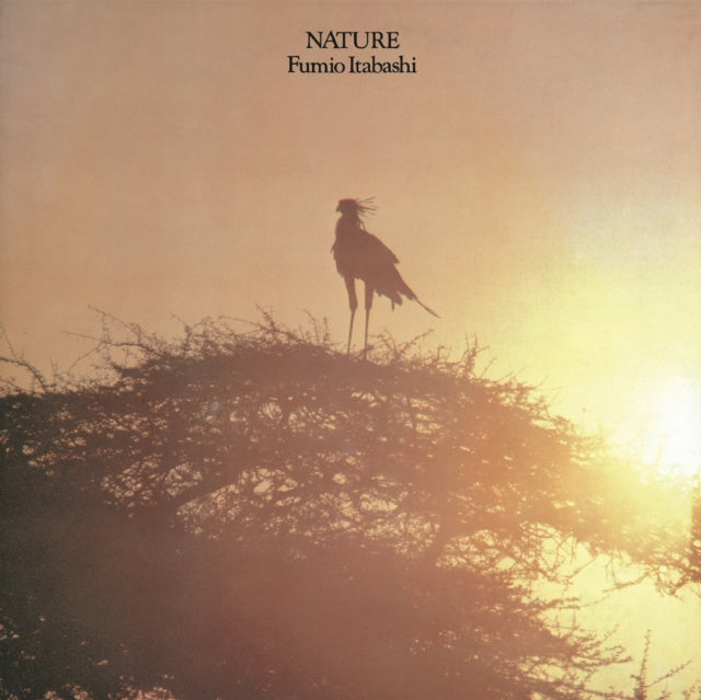 Fumio Itabashi - Nature (1LP)