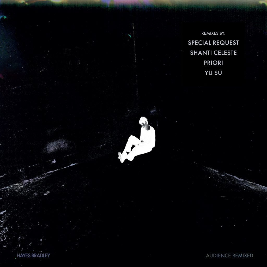 Hayes Bradley - Audience (Remixed)