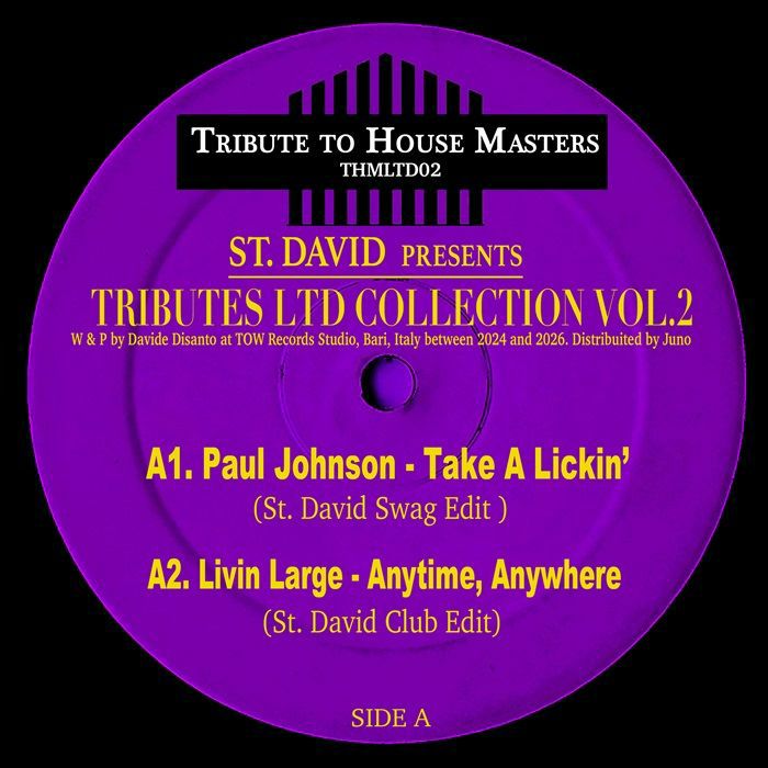 ST DAVID / PAUL JOHNSON / LIVIN LARGE / DJ PIERRE / BOHANNON - Tributes LTD Collection Vol 2