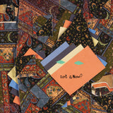 Animal Collective - Isn’t It Now? [Double Orange LP]
