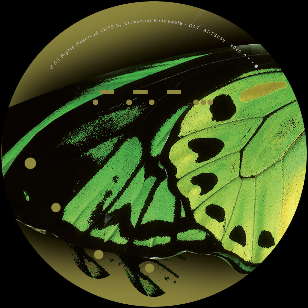 Steve Redhead - Kinetic Hammer EP