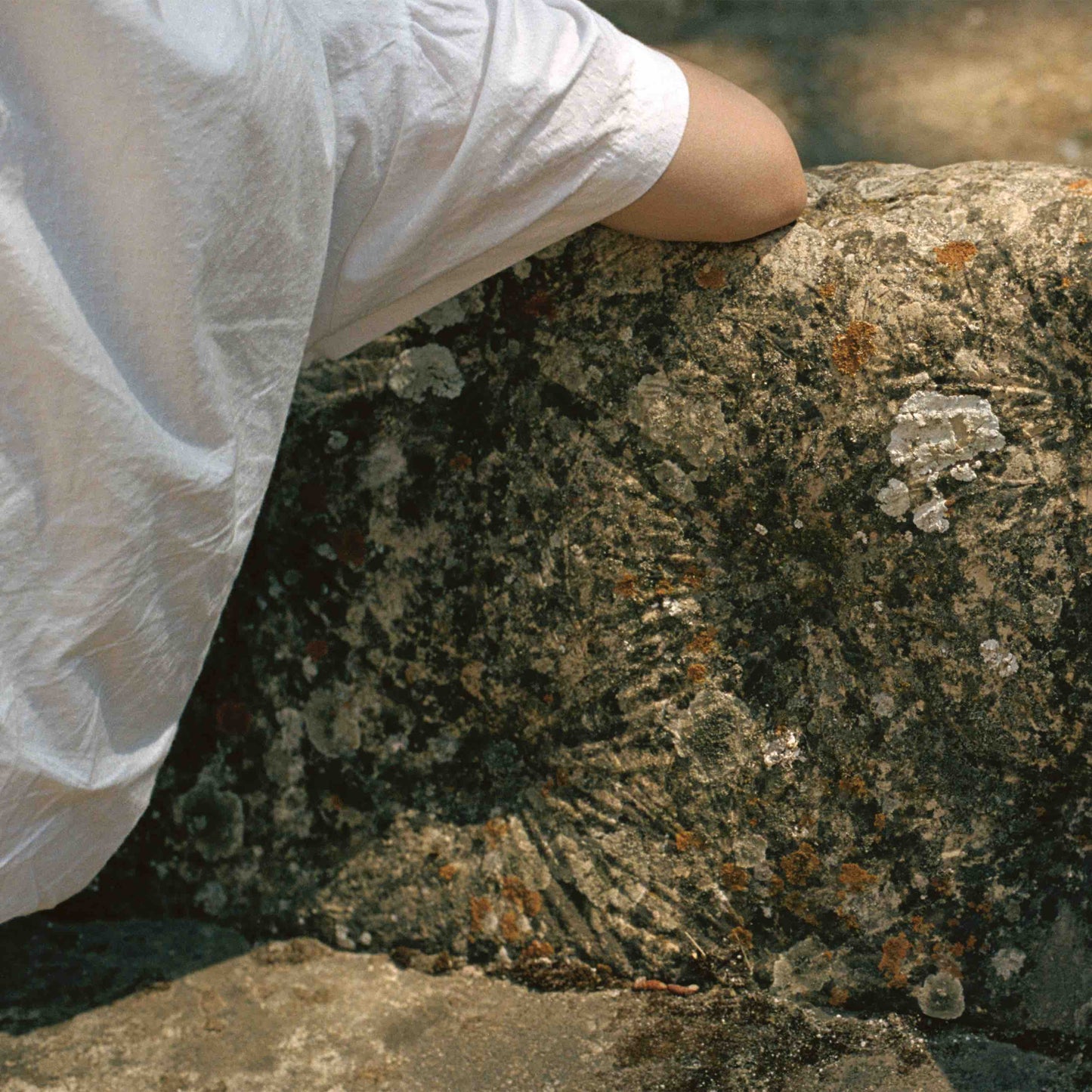 Marja Ahti - Tender Membranes