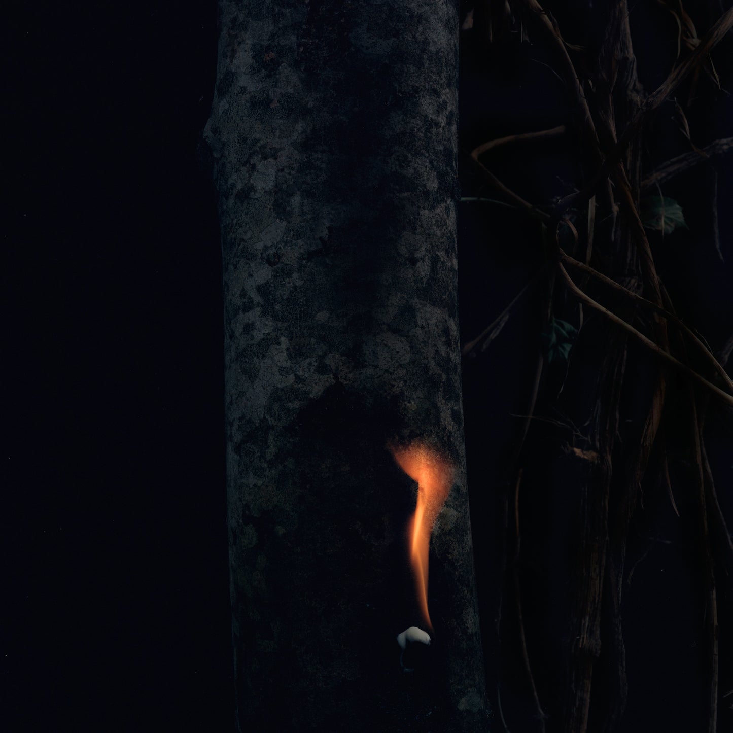 BZDB - JUMP SHIP, SIT LEAN, BE STILL, STAND TALL