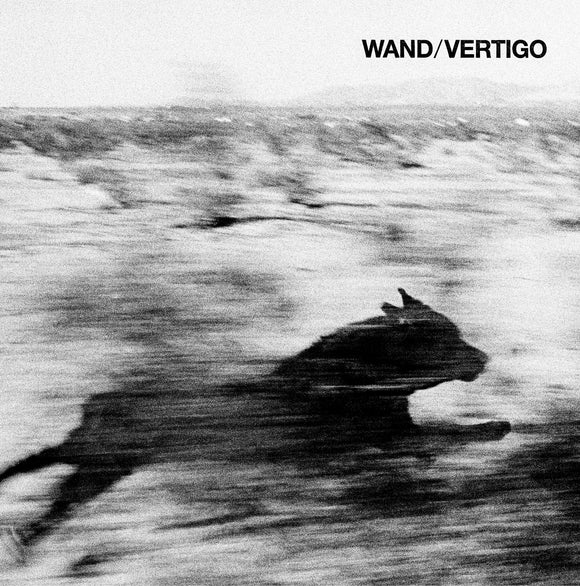 Wand - Vertigo [Cassette]