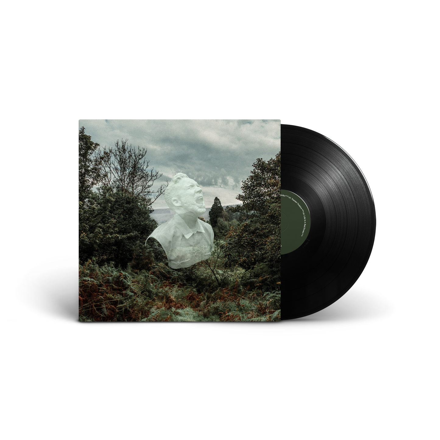 David C Clements - The Garden