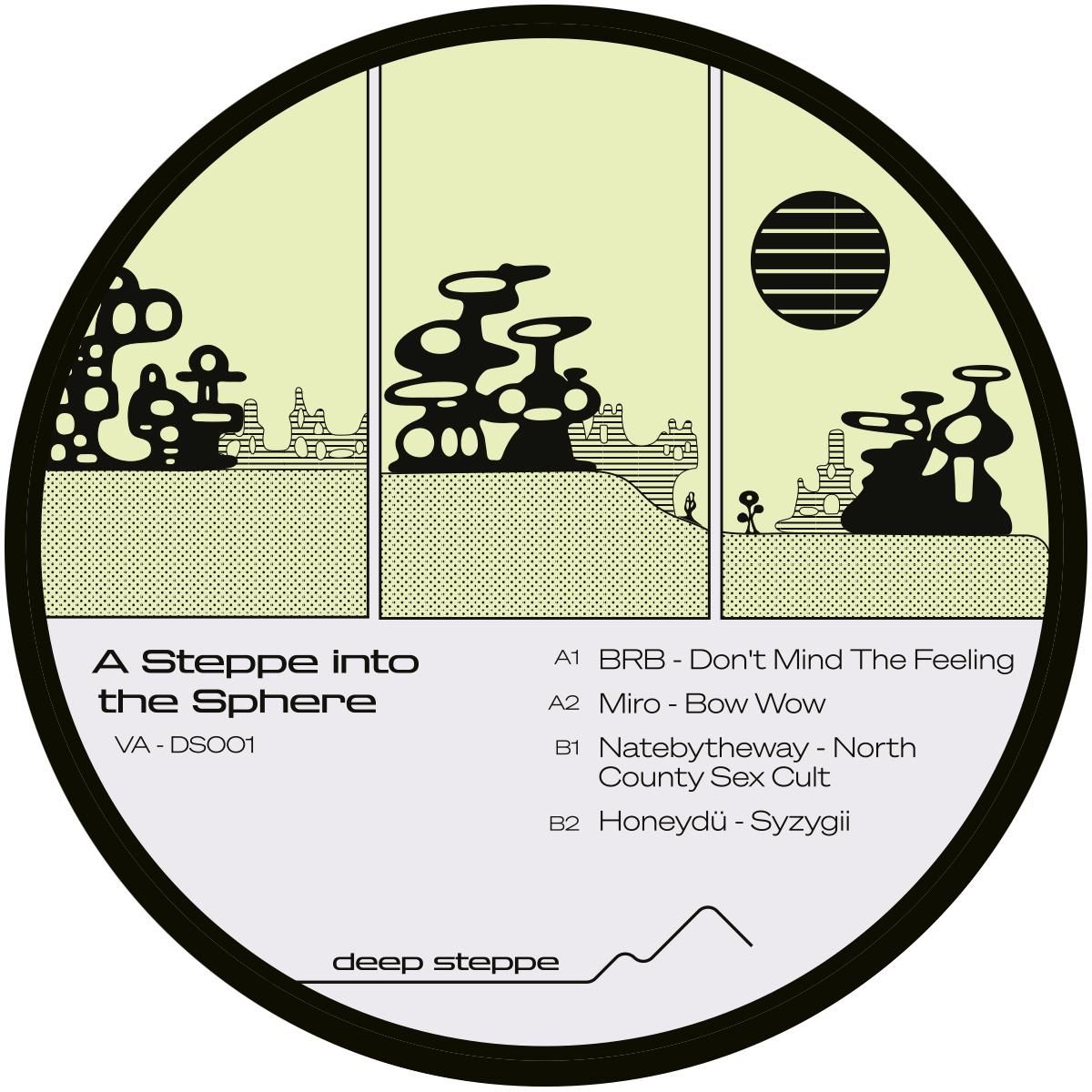Various Artists - A Steppe Into The Sphere