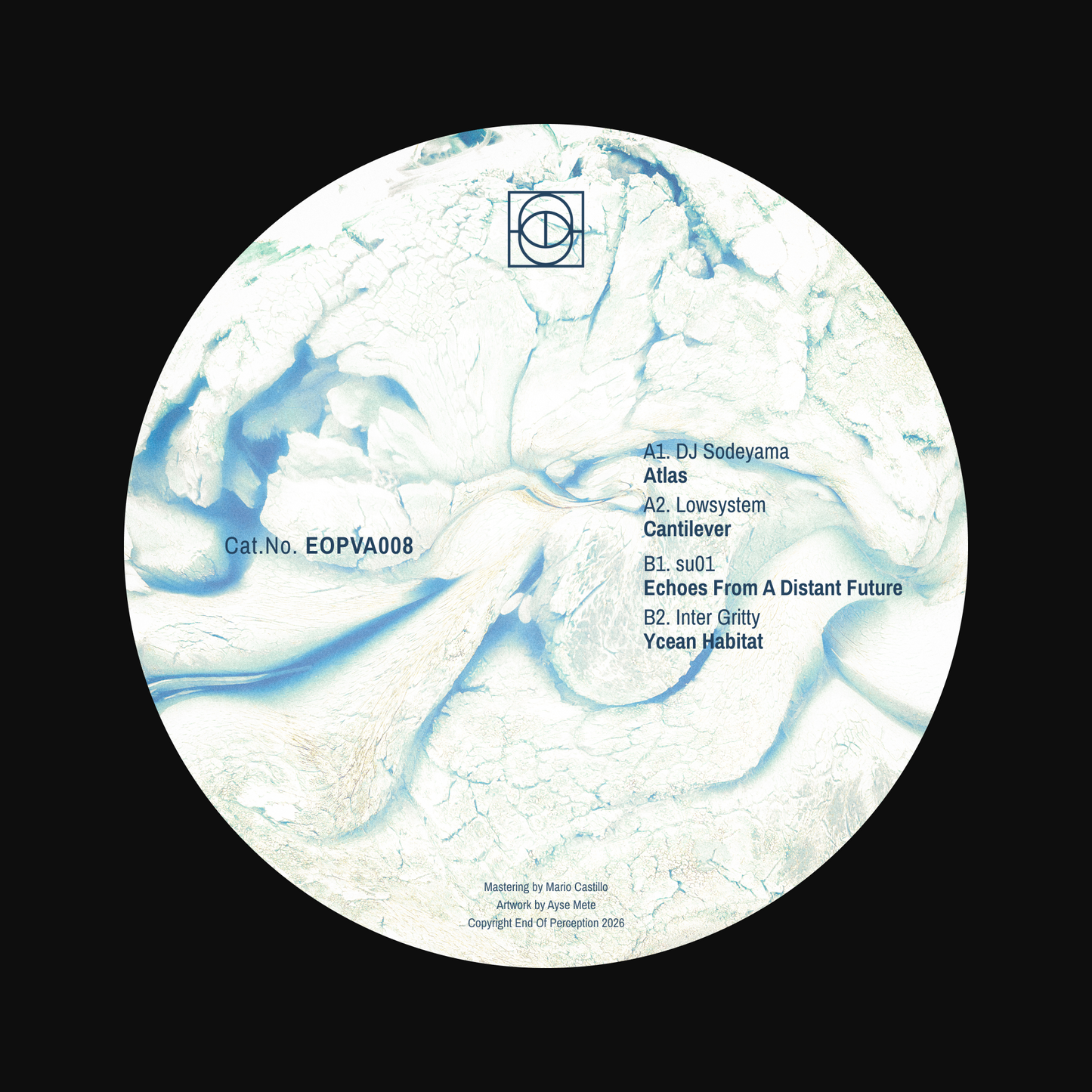 Various Artists - VVAA008