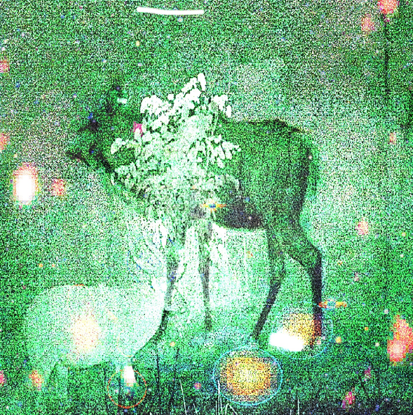 Ghost Lemurs – Wombs And Alien Spirits