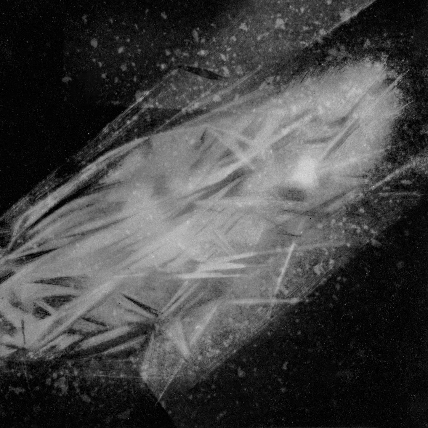 Andy Aquarius - Golla Gorroppu