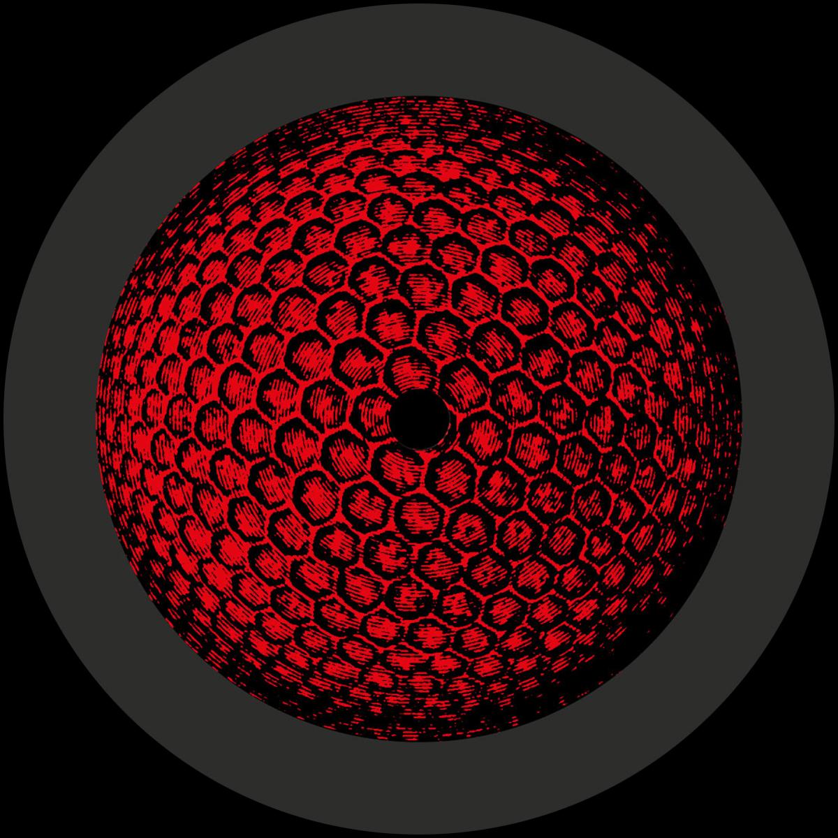 Skew & Satirist - Through The Compound Eye EP