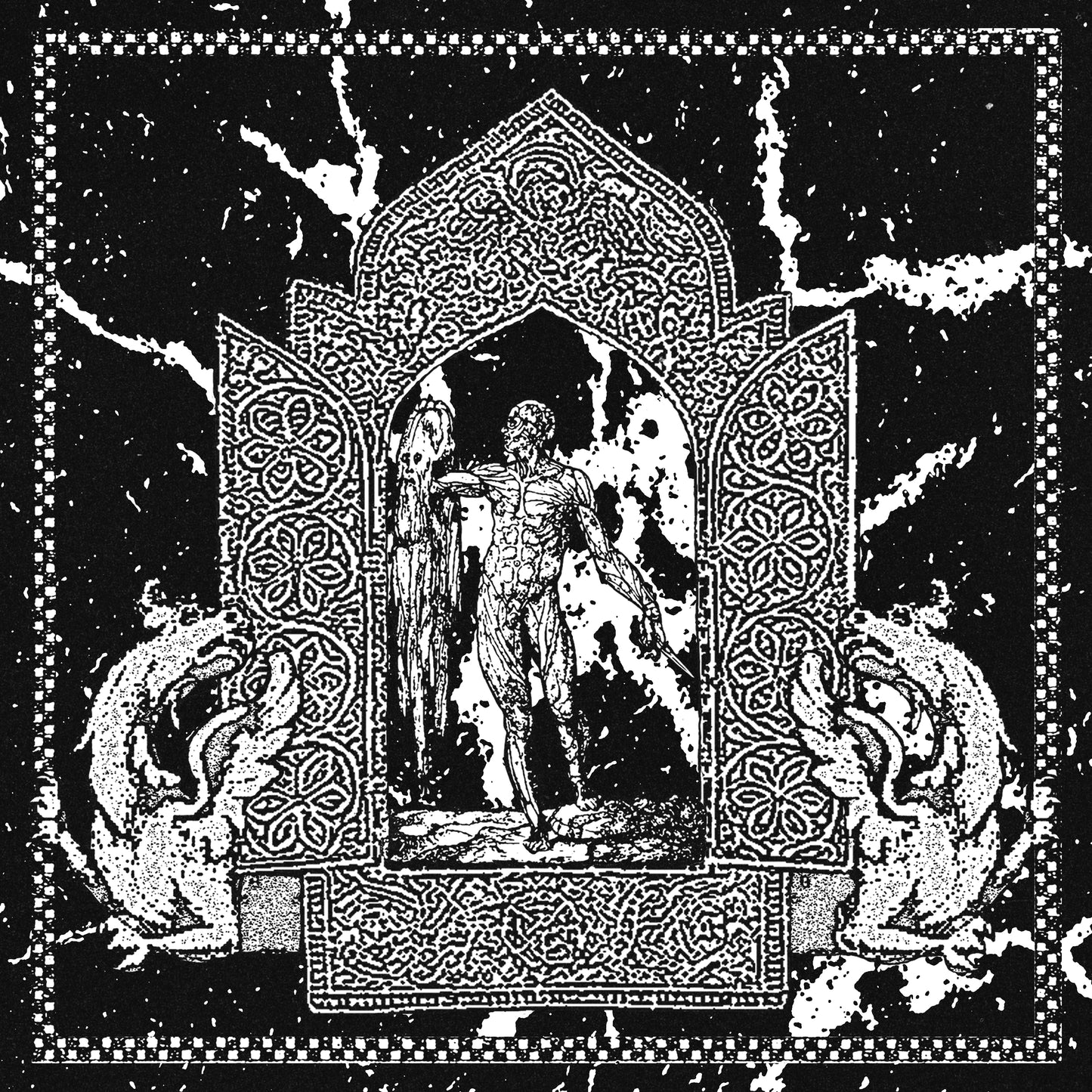 Lucta – Eterna Lotta