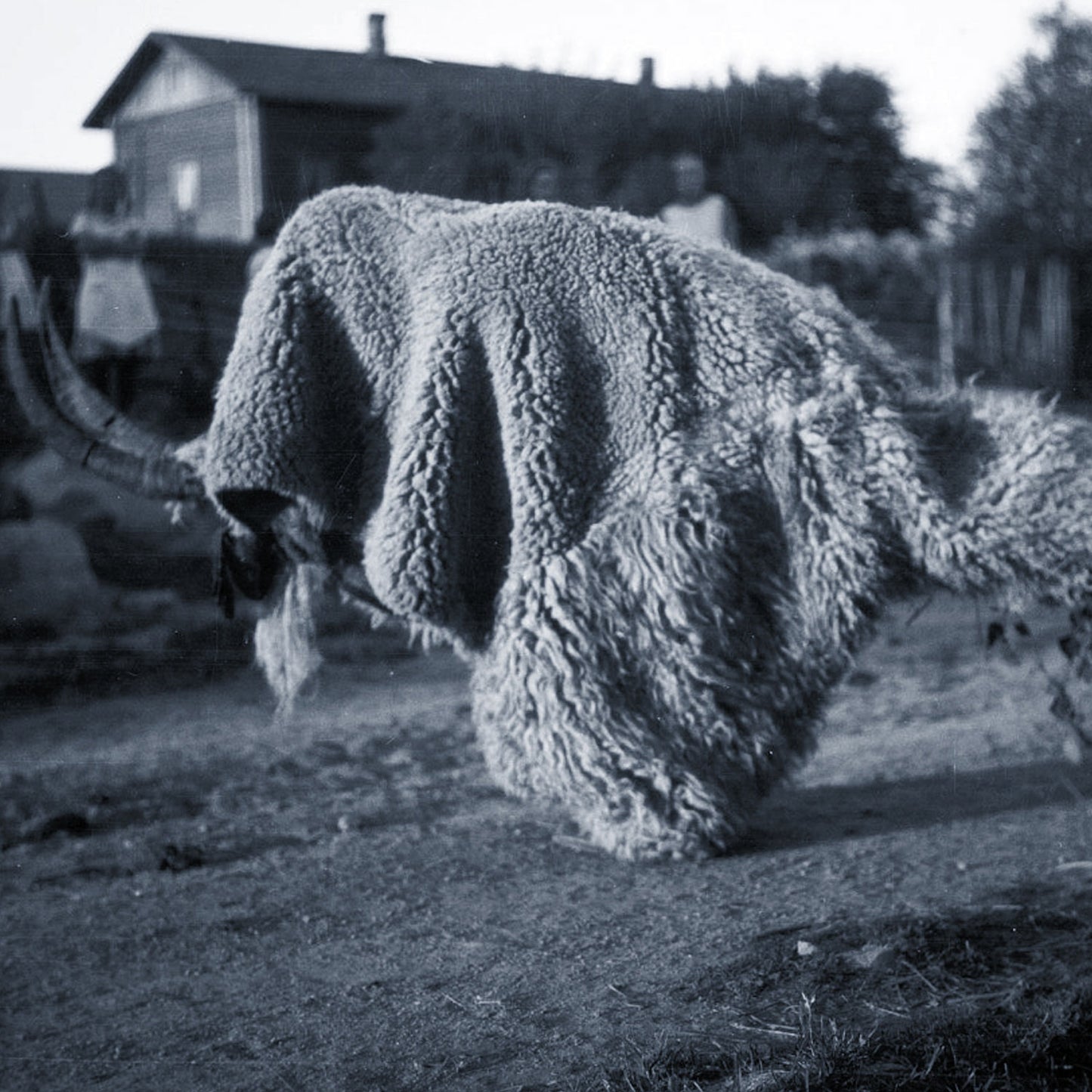 Random Gods - Pneuma