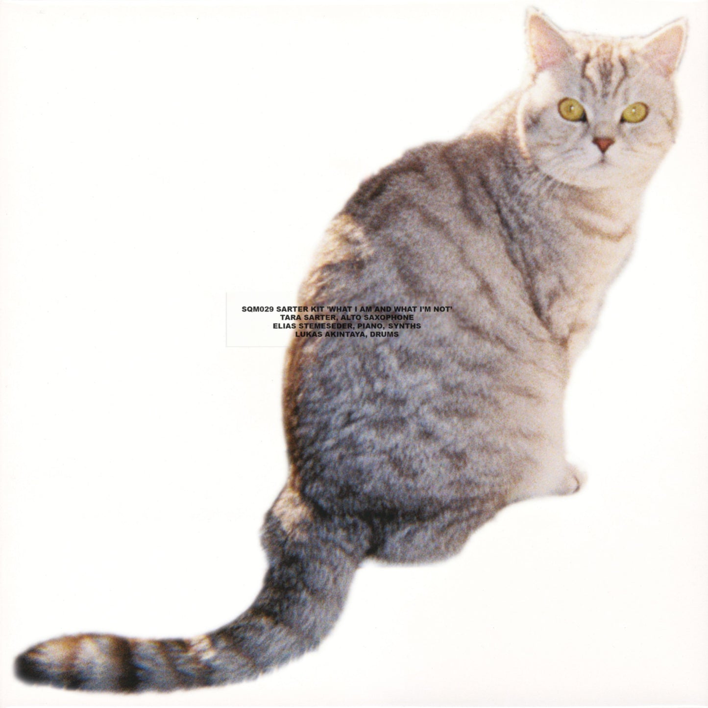 Sarter Kit - What I Am And What I’m Not