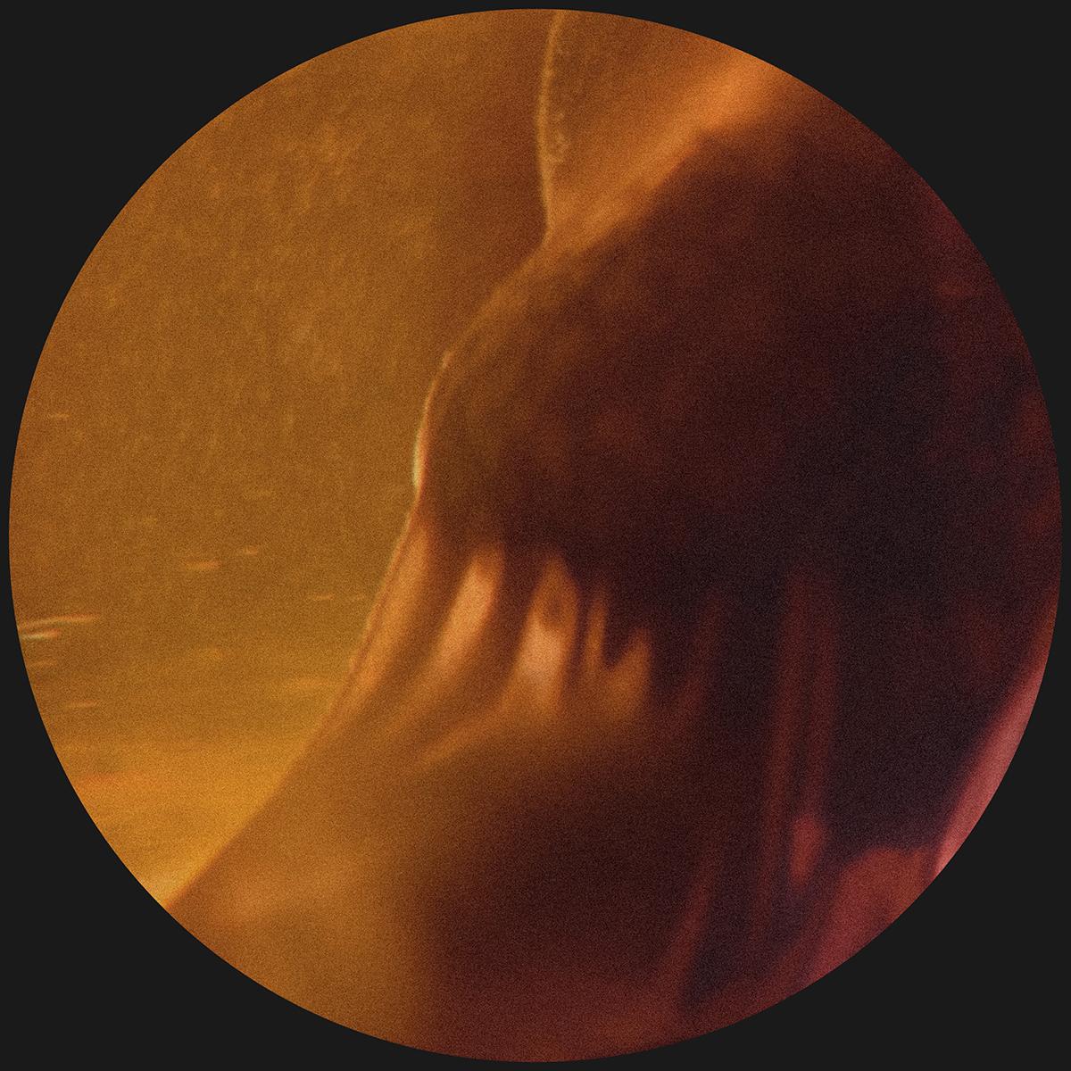 Scalameriya - Augment EP