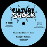Shayne Amani - Where Has The Love Gone / Version [7" Vinyl]
