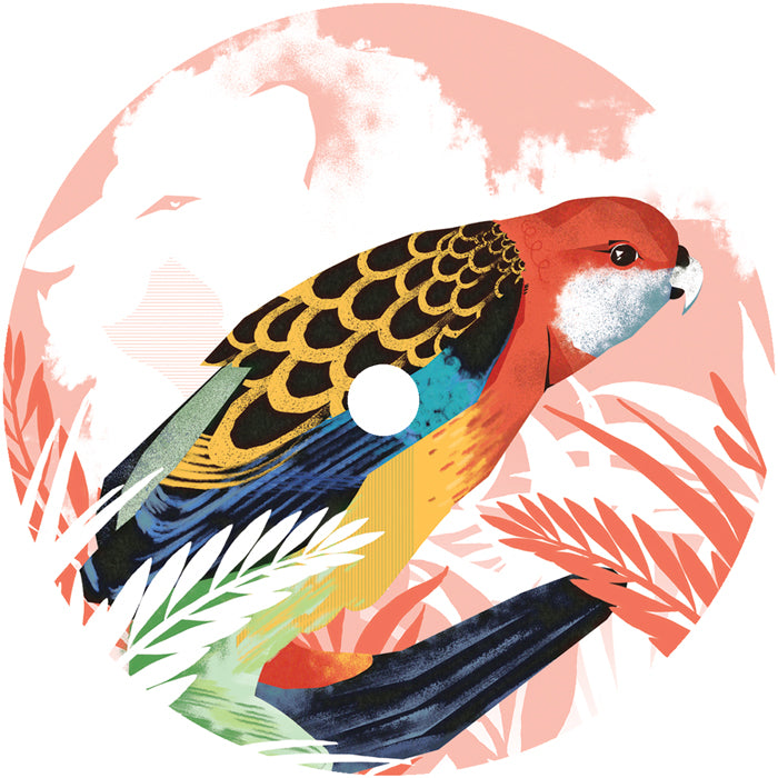 Michael The Lion / Natasha Kitty Katt Featuring Suki Soul - I Found Peace