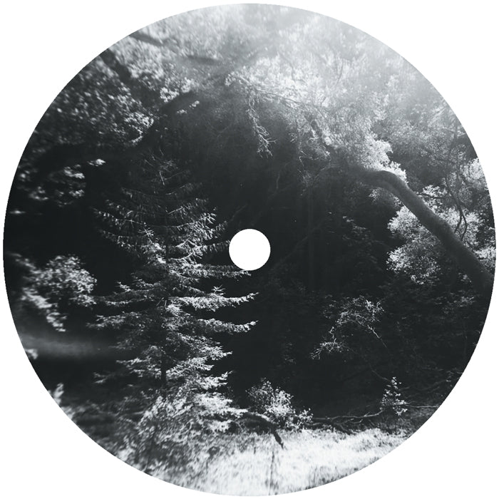 Sulah Jordan - Lady Bug
