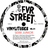 Sebb Junior - Vinylitudes Vol.01