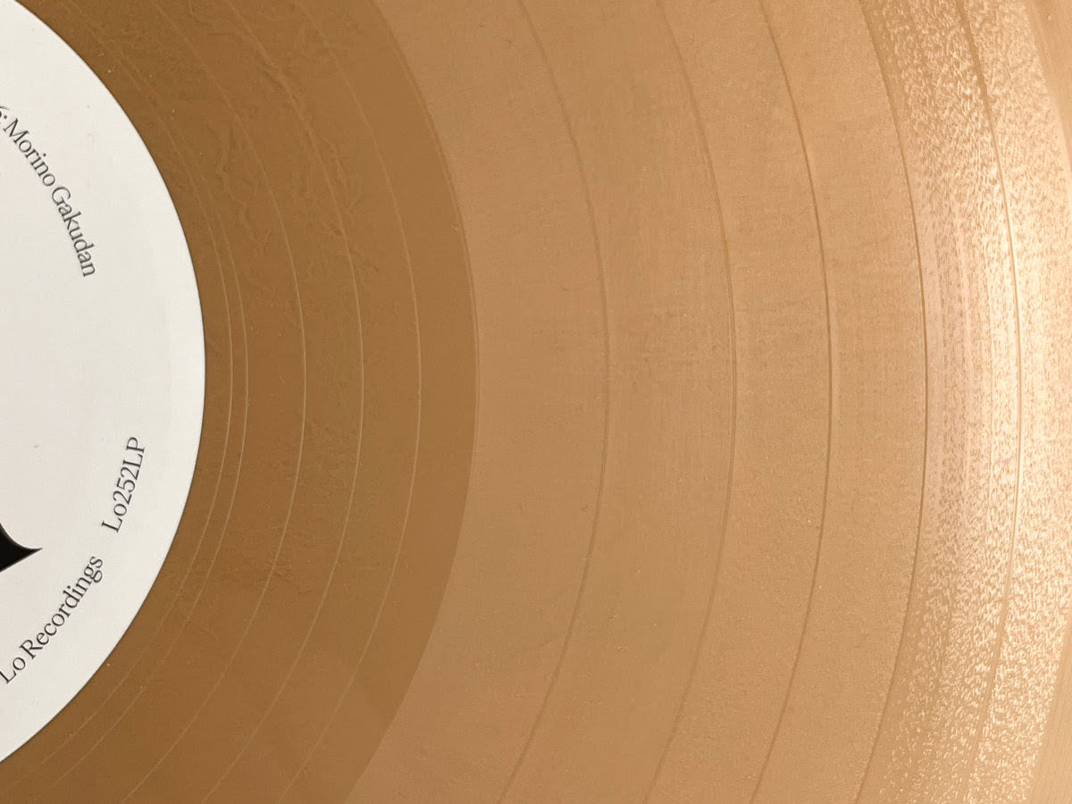 Susumu Yokota - Image 1983-1998 (Skintone Edition)