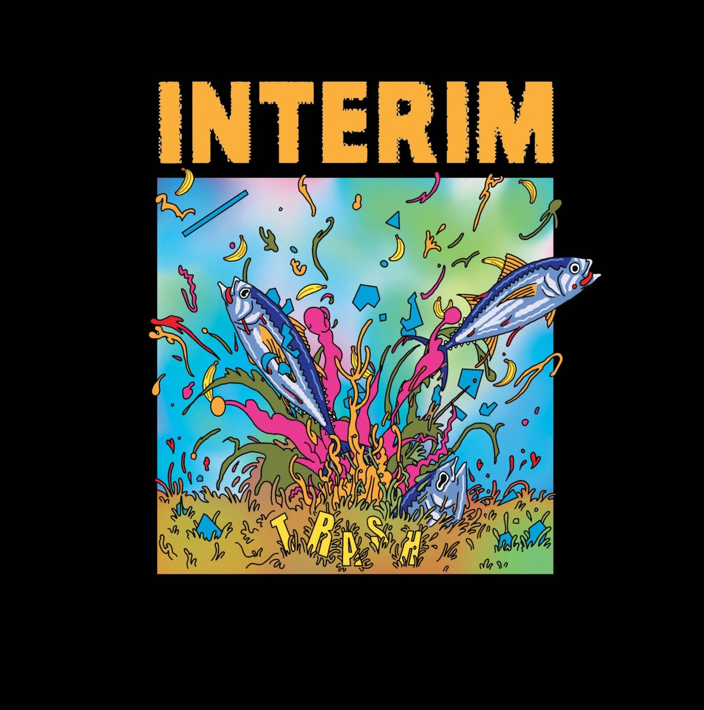 Interim - Trash