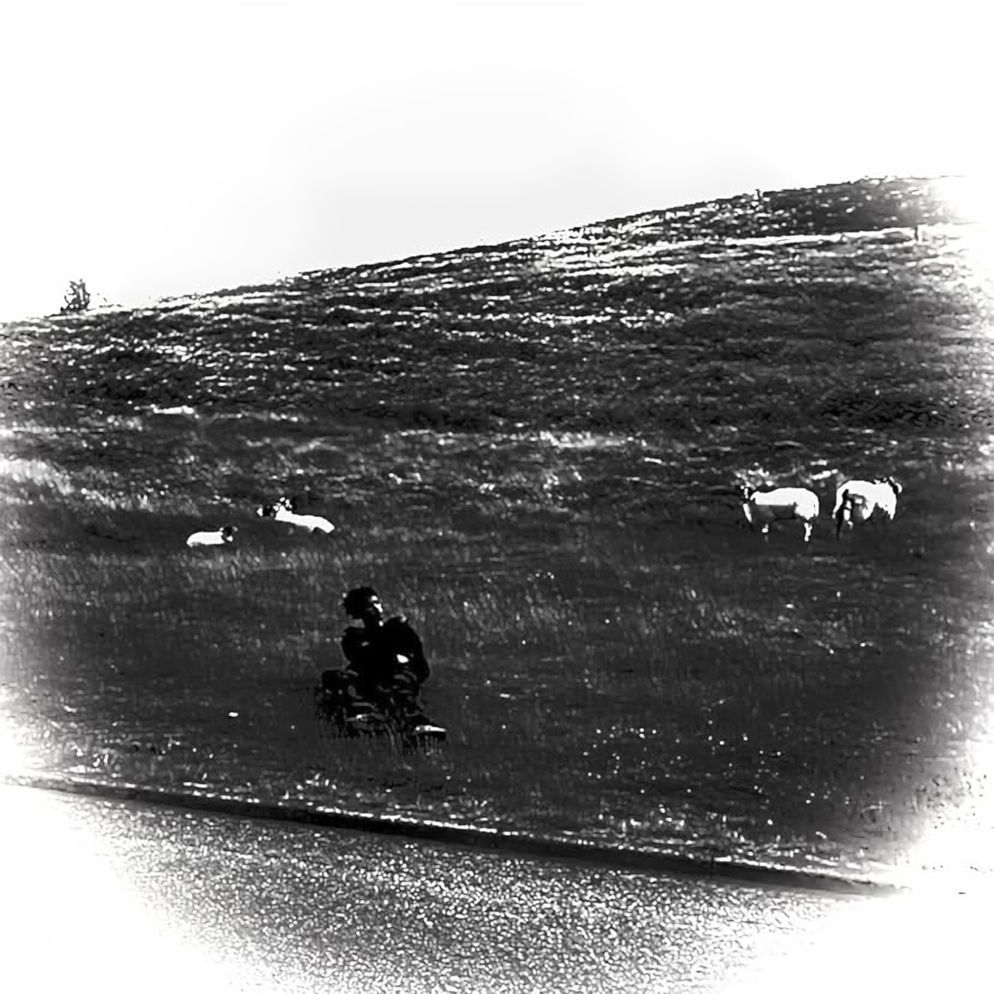 Pretty V - Destiny of Illusion